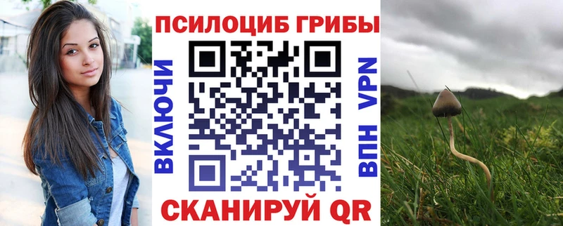 Купить закладки  Янаул  Псилоцибиновые грибы GOLDEN TEACHER 